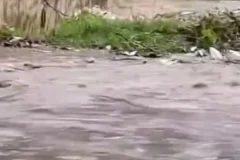 Condiciones del río Birán en Barahona
