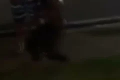 Detienen a presunto ladrón en Mi Vivienda
