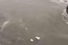 Fuertes aguaceros afectan Barahona