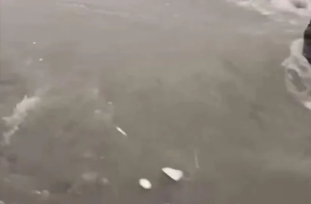 Fuertes aguaceros afectan Barahona